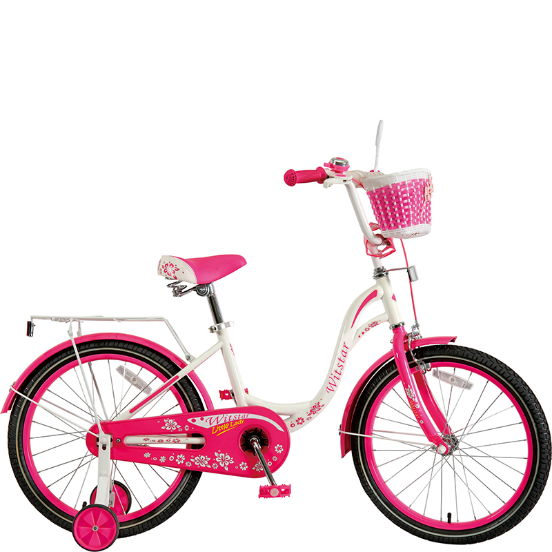 20 Inch children bicycles for girls with carrier/23WN049-20''