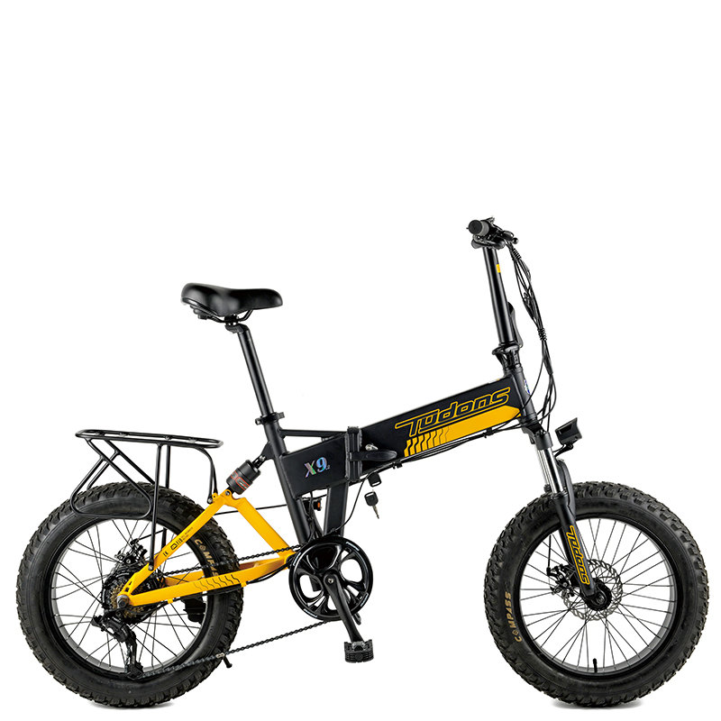 20 Inch electric foldable bicycle with 250W Motor/23WN097-E20'' 7S