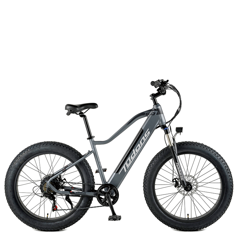 Electric fat Bike for Adults with Removable 48 V Battery/23WN095-E26'' 7S