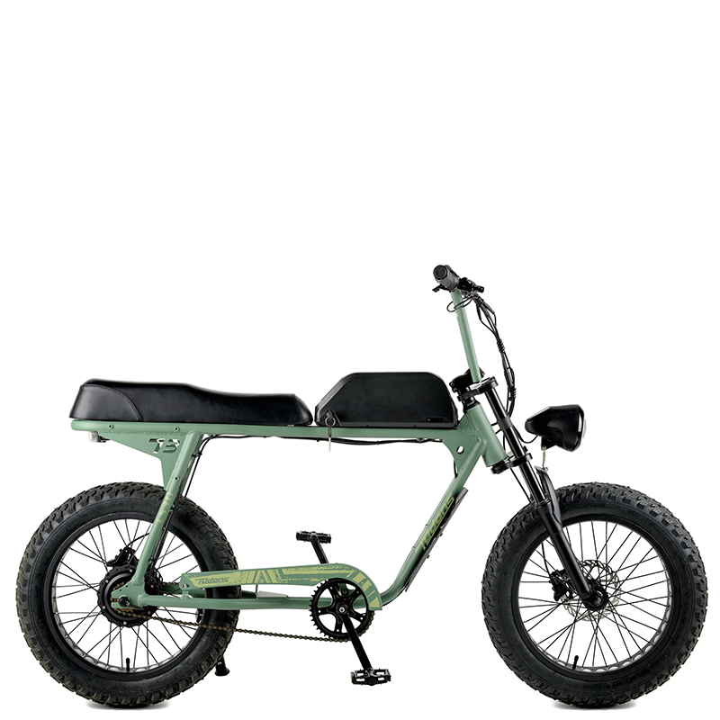 Electric fat tire bike with 48V battery&500W motor/23WN096-E20''