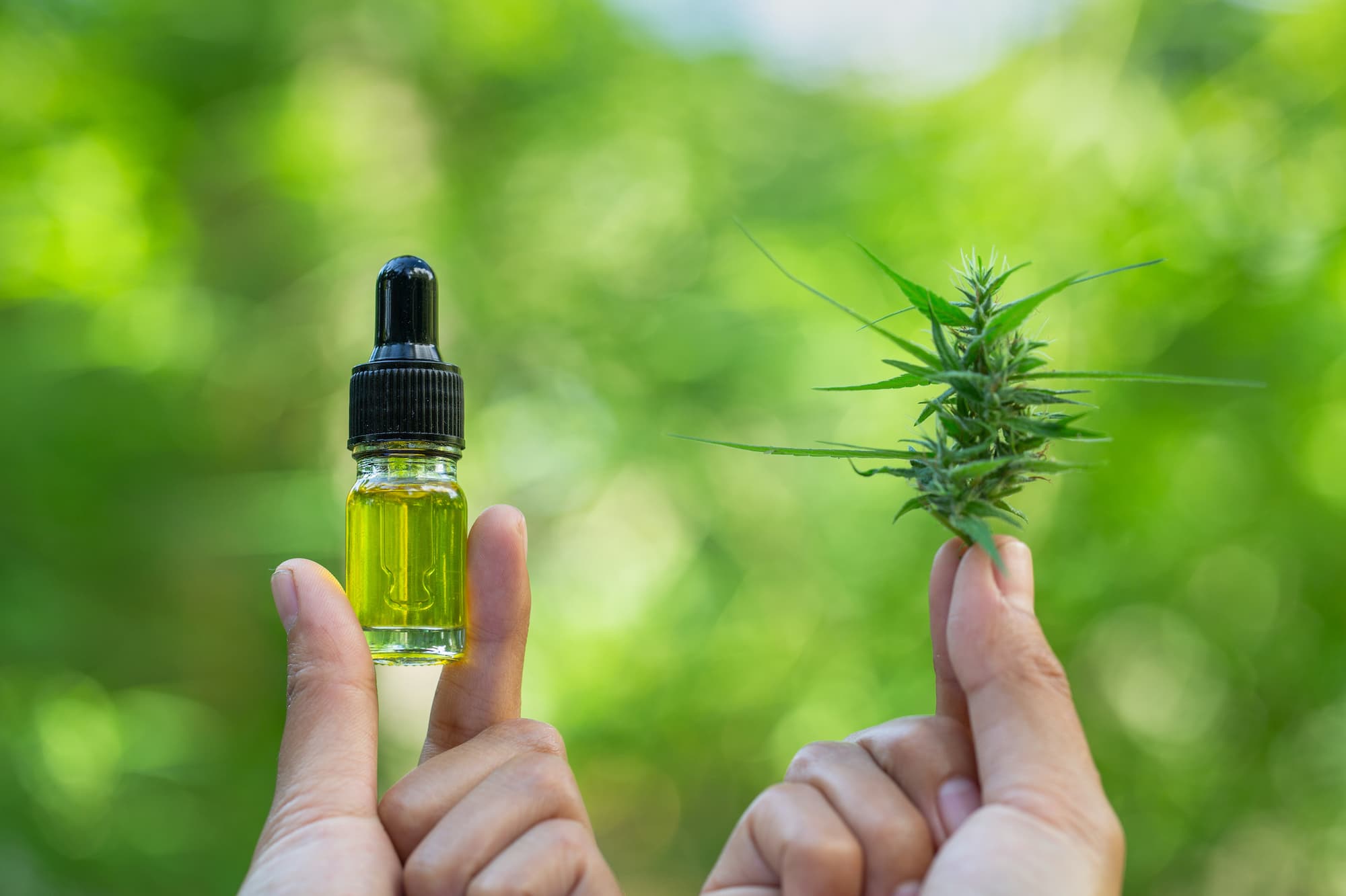 6 Essential Considerations for Buying CBD Cartridges in 2023: What to Know Before Purchase