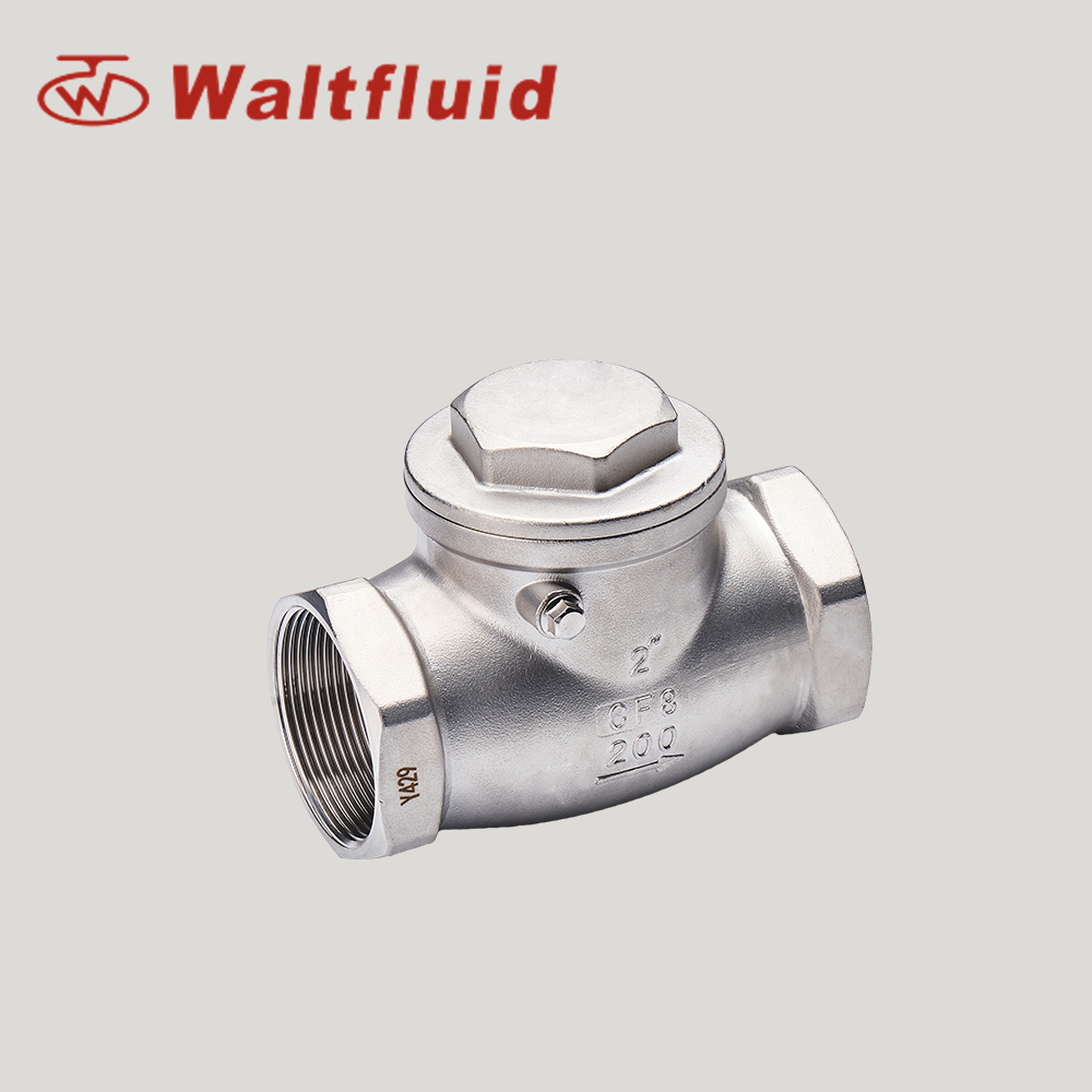 Durable Stainless Steel Water Check Valve for Reliable Performance
