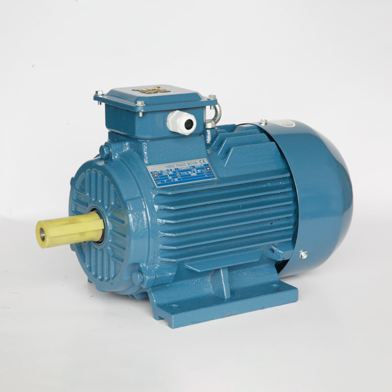 Y3 series three phase electric motor