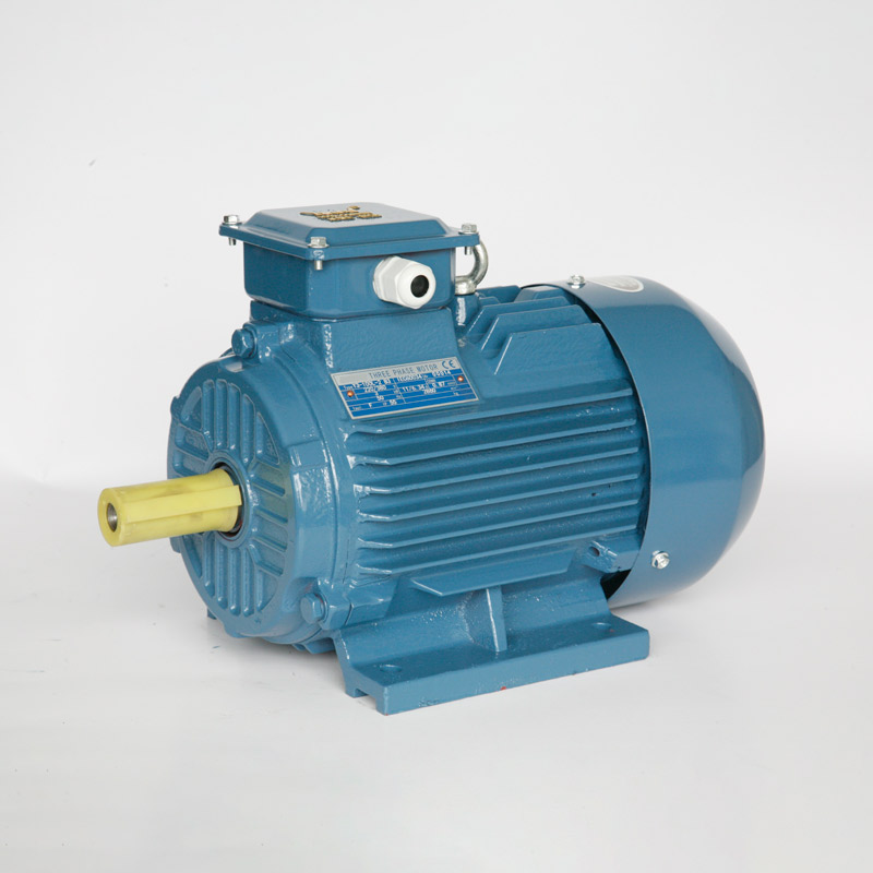 IE2 series three phase electric motor
