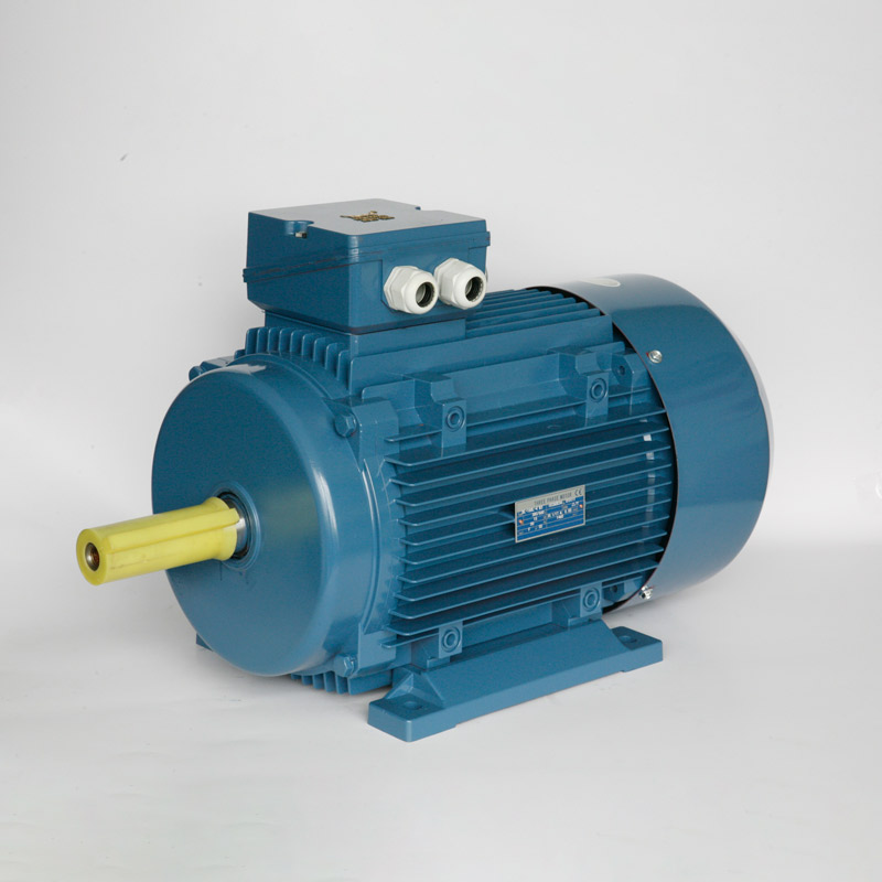 DL Series Three Phase Electric Motor