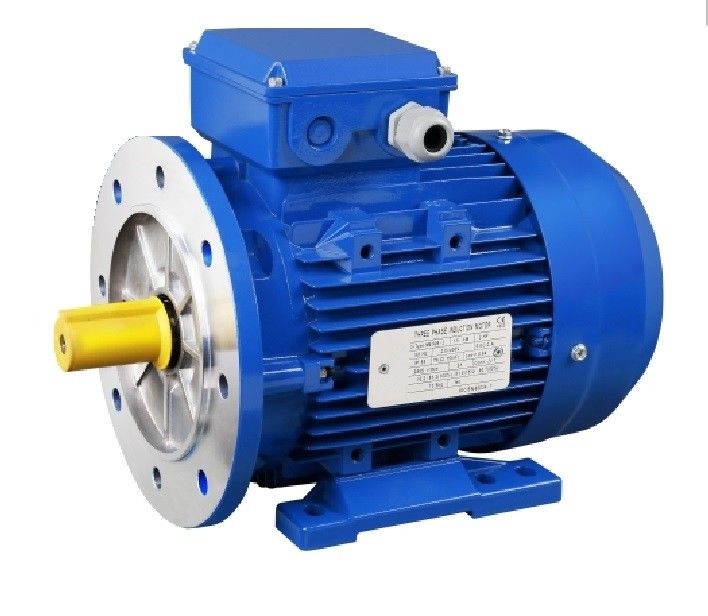 3-Phase 4-Pole AC Induction Motors: Powering Clean Technologies with Efficiency