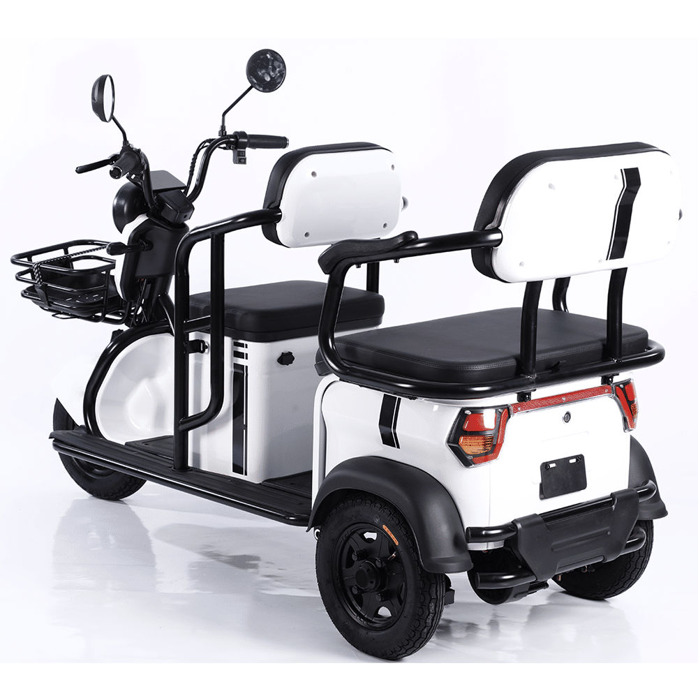 Southeast Popular Two Seat Elderly Electric Scooter Battery Tricycle