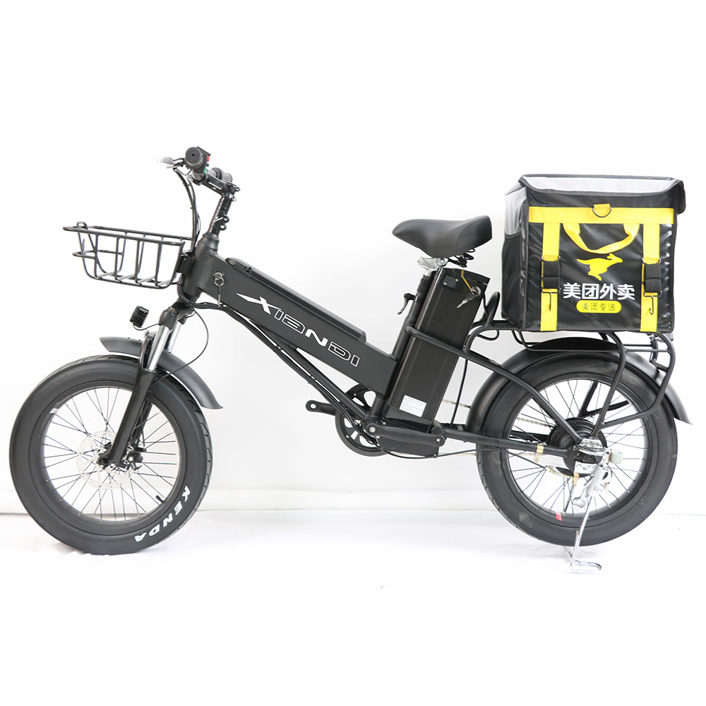 Foldable Double Lithium Battery Mountain Tire Delivery Bicycle