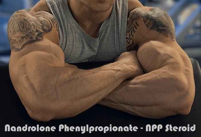 Nandrolone phenylpropionate - Wikipedia