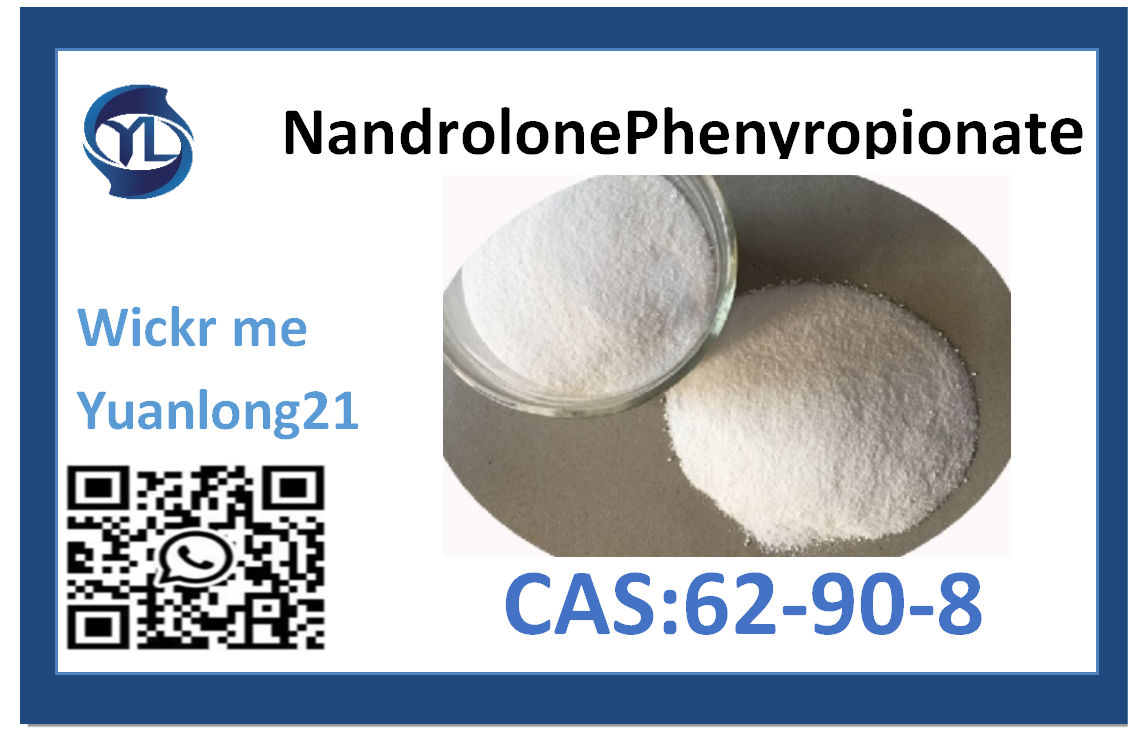 Factory direct sales high purity 62-90-8 Nandrolone Phenyl Propionate  