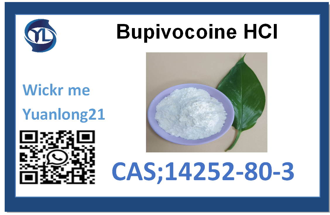 Bupivacaine hydrochloride  CAS:14252-80-3 factory direct supply