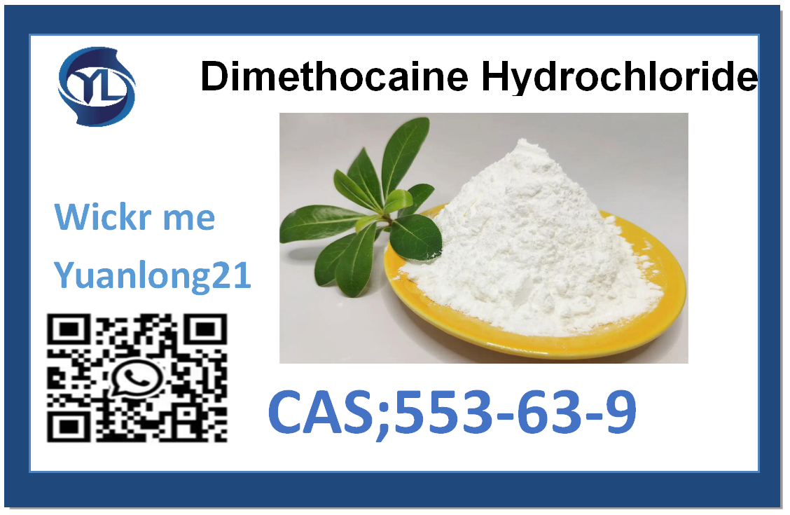 Dimethocaine Hydrochloride Safe delivery CAS:553-63-9 factory direct supply