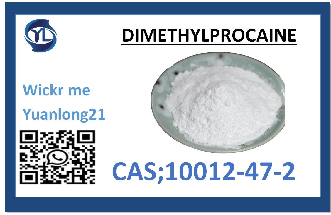DIMETHYLPROCAINE CAS；10012-47-2 factory direct supply