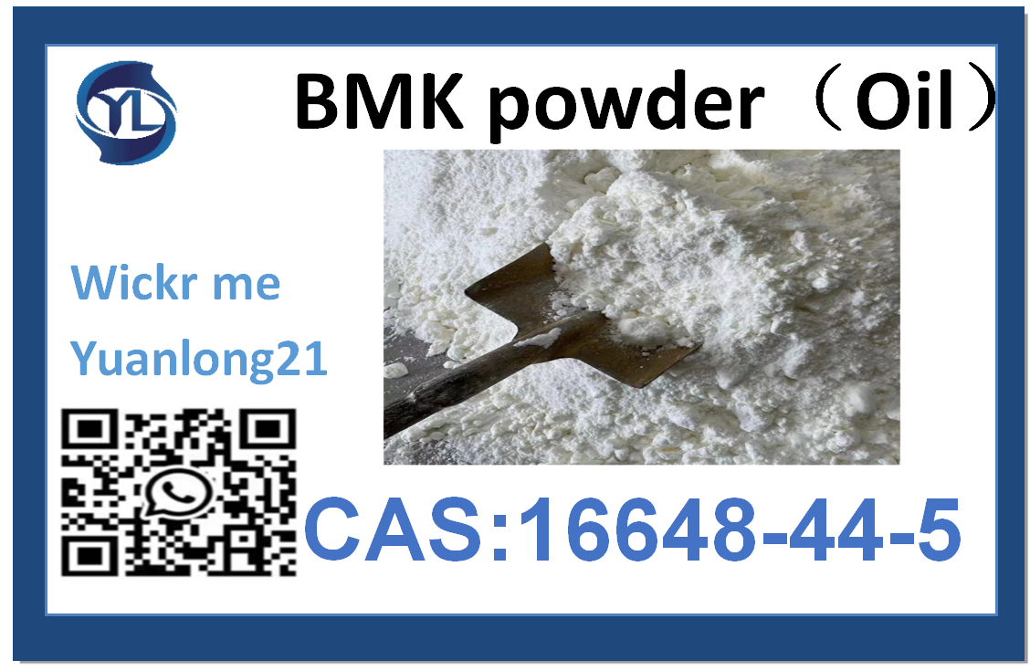 16648-44-5 BMK PMK （powdered oil）high purity Factory delivery