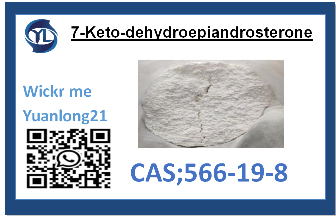 7-Keto-dehydroepiandrosterone  CAS:566-19-8 Safe Delivery for CHINA