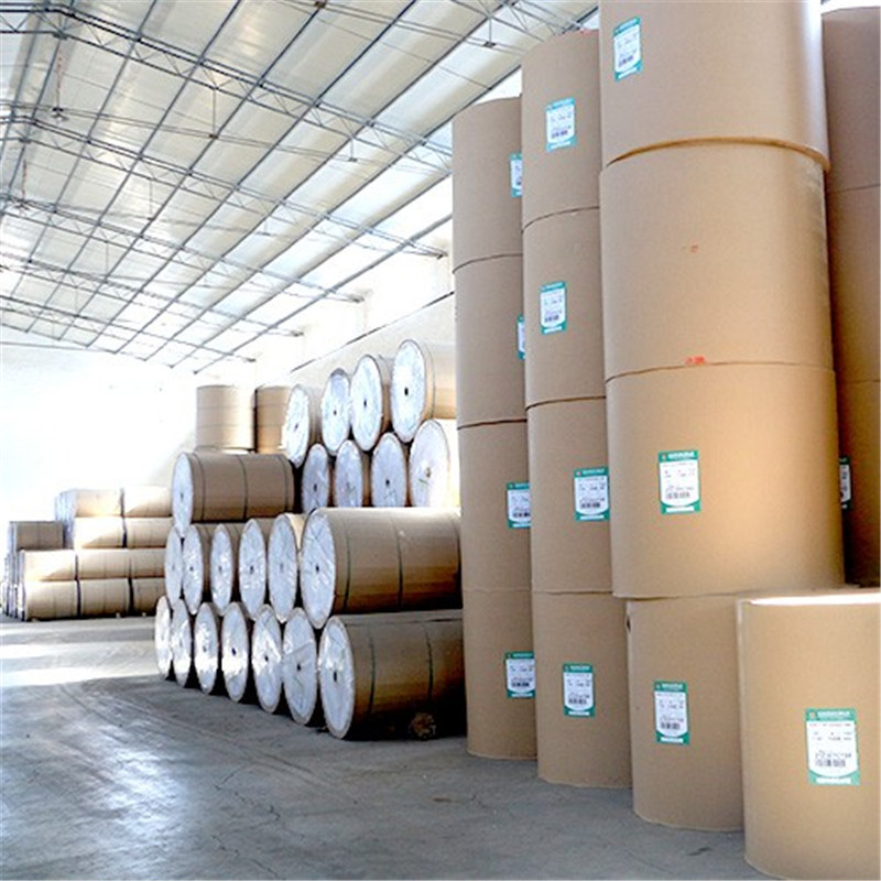 Raw Materials Jumbo Roll Thermal Paper 400mm 785mm 790mm 844mm