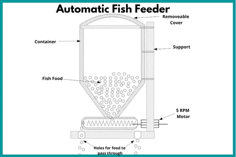 Automatic Fish Feeder - Instructables