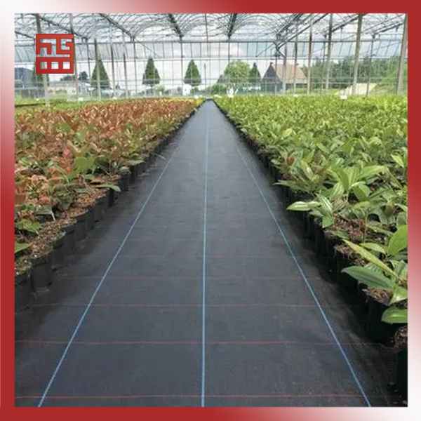  Black Color PP Woven Weed Mat/Ground Cover/Anti-Grass Cloth