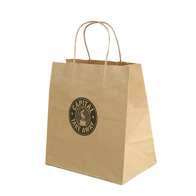 Brown Kraft Paper Gift Bags Bulk with Twist Handle Paper Carrier Bags