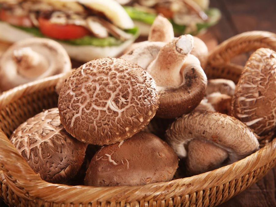 Organic Shiitake mushroom powder